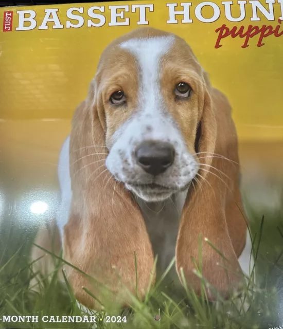 Basset Puppy Dog Calendar 2024 Large Square Wall Calendar. New/Sealed.