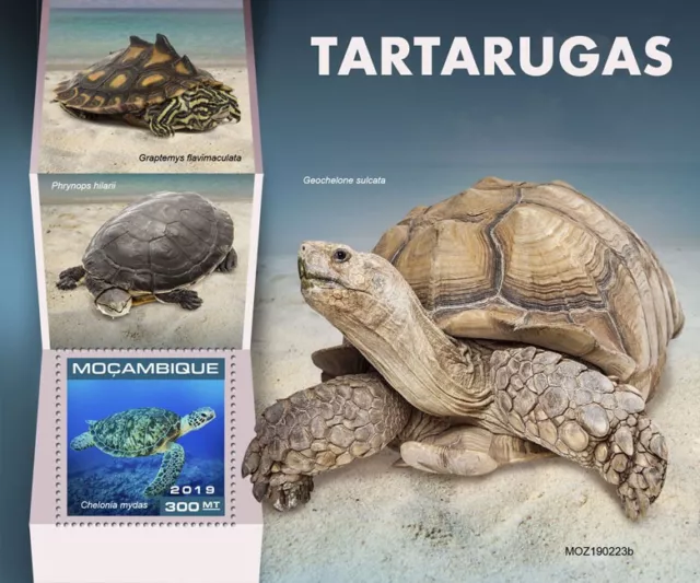 Mozambique 2019 MNH Turtles Stamps Tortoises Green Sea Turtle 1v S/S