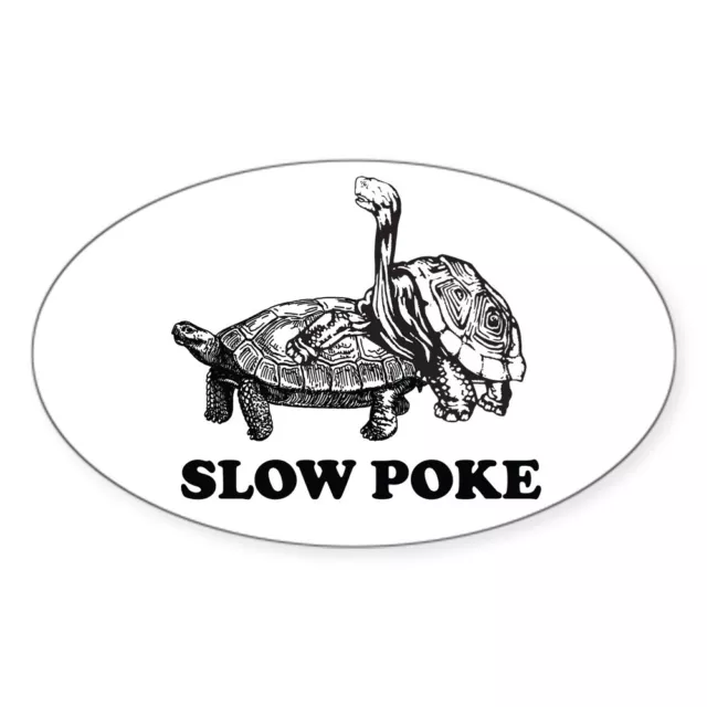 CafePress Turtle Slow Poke Oval Bumper Sticker, Euro Oval Car Decal (880437933)