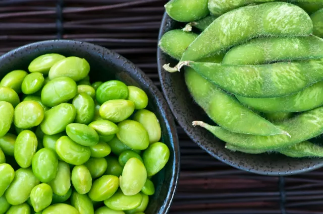 15 Edamame Soy Bean Seeds