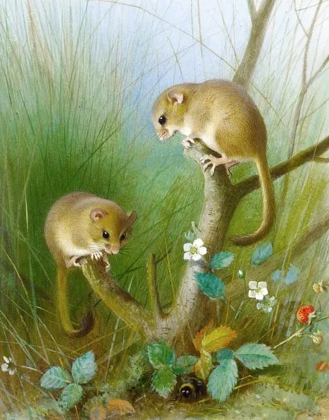 Huge work Oil painting lovely and cute animals Two mice Hand painted