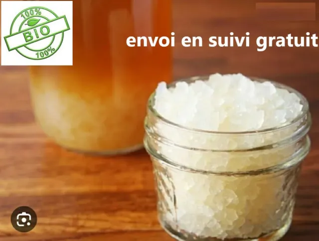 KÉFIR DE FRUITS BIO 40gr TRES ACTIF de qualité PRO probiotique naturel + recette