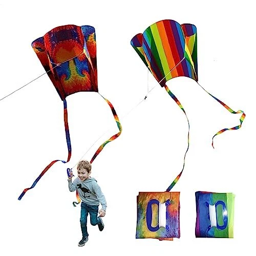 TSHAOUN Lot de 2 cerf-volant coloré pour enfants, cerf-volant de poche avec long