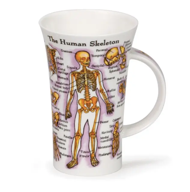 Lovely Dunoon Human Body Skeleton Fine Bone China Mug Glencoe Style