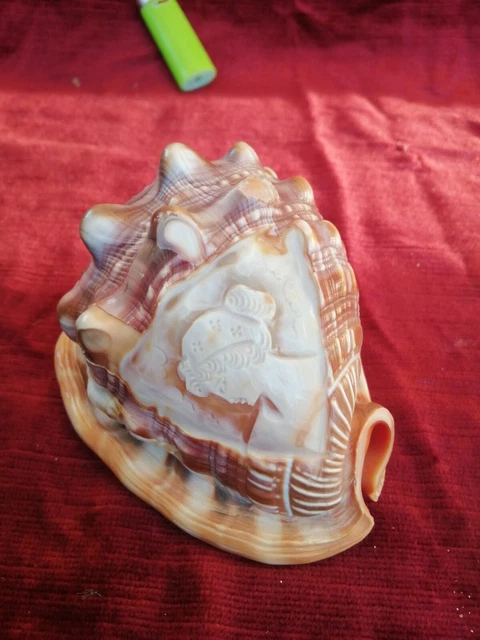 Broche ancienne en or avec camée en forme de coquillage, XIXe siècle En