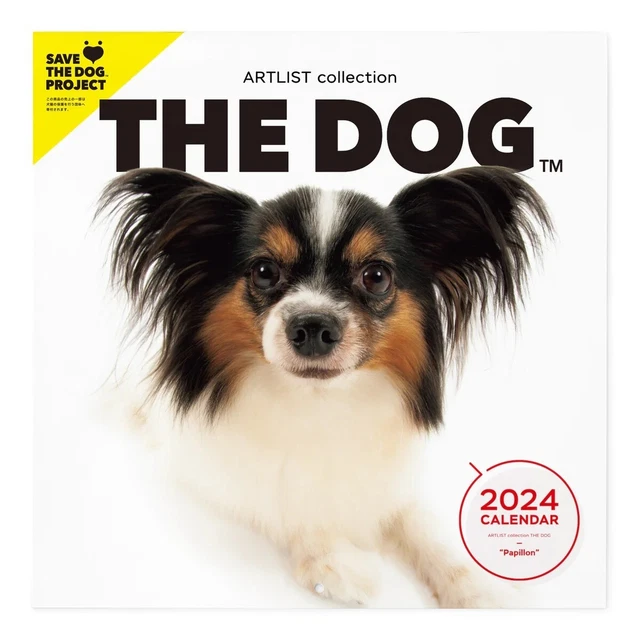 PSL THE DOG 2024 Calendar Large Size (Papillon) With Original Sticker
