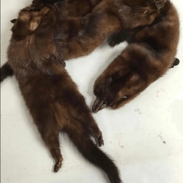 Real Dark Brown Mink Stole Vintage