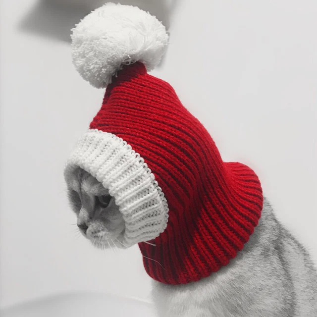Cappello Da Gatto Cane Costumi Di Halloween Abbigliamento Maglia