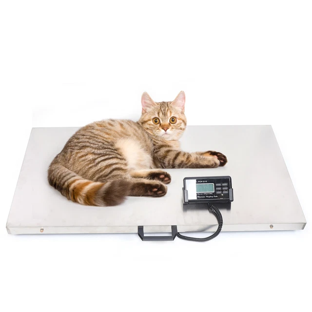 Nuova bilancia a piattaforma 300 kg LCD bilancia da pavimento bilancia per animali bilancia industriale bilancia per carichi pesanti