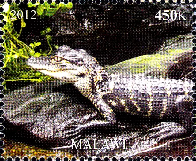 Malawi postfrisch MNH Tier Wildtier Krokodil Alligator Reptil Raubtier Fauna /51