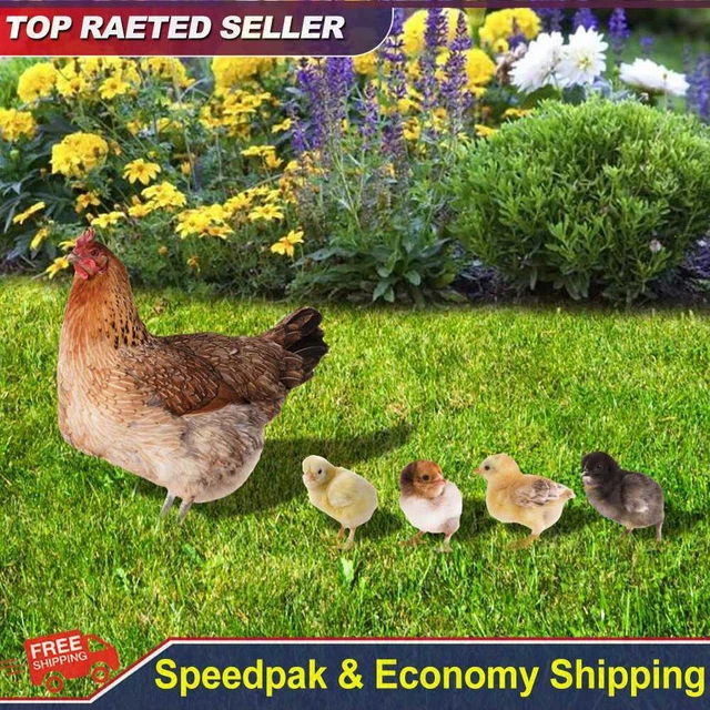 Acrylic 2D Chicken Sculpture Double-sided Printing Art Crafts for Backyard Patio