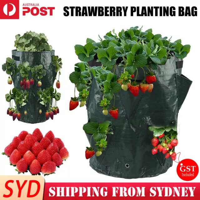 3 Gallon Garden Planting Grow Bag Hanging Flower Pouch Strawberry Planter Bags