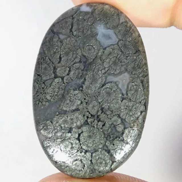 55.70Cts Natural Marcasite Oval Cabochon Loose Gemstones