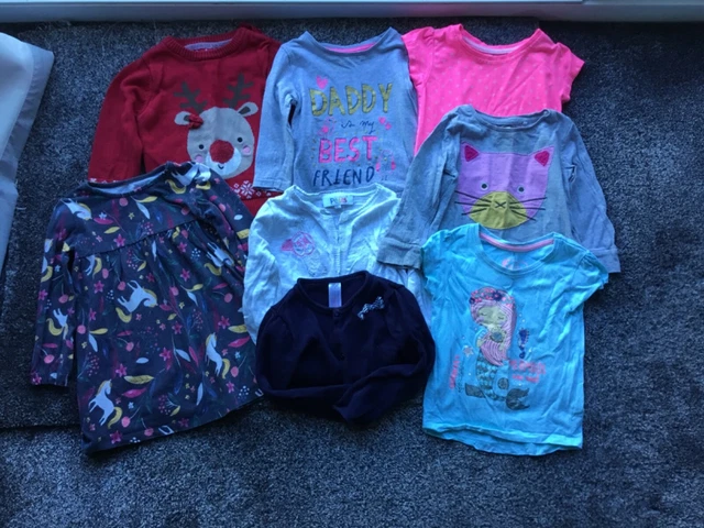 Baby girl mixed clothing bundle 9-18 months includes dress cardigans tops 