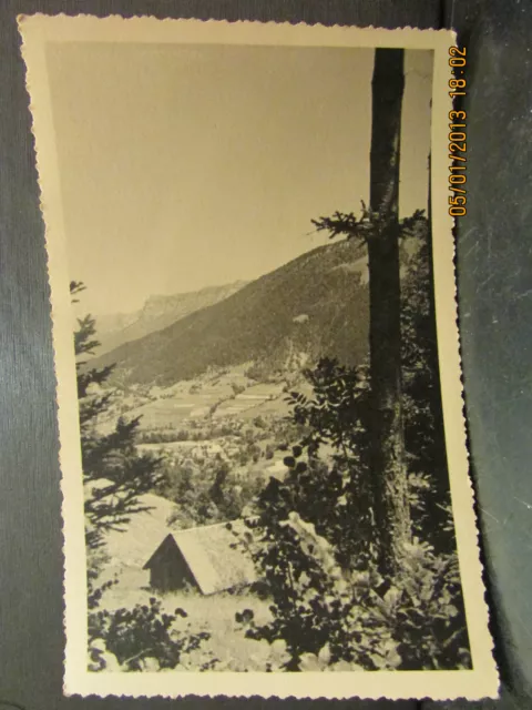1950 amateur photo riding the neck of the solid cucheron large chartreuse 38
