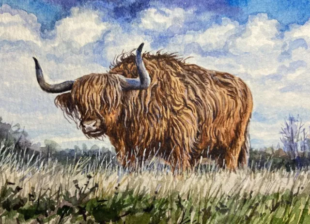 Watercolor Painting Highland Cattle Scottish Hairy Cow or Yak ACEO Art