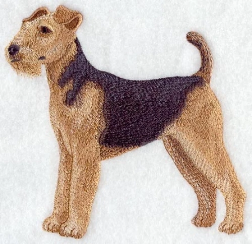 Embroidered Ladies T-Shirt - Airedale Terrier C2665 Sizes S - XXL