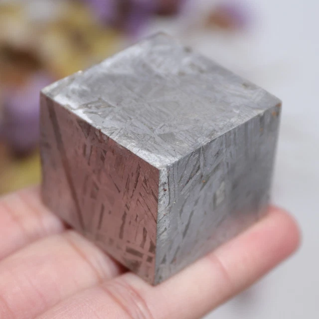 220g Muonionalusta meteorite part slice  A1363