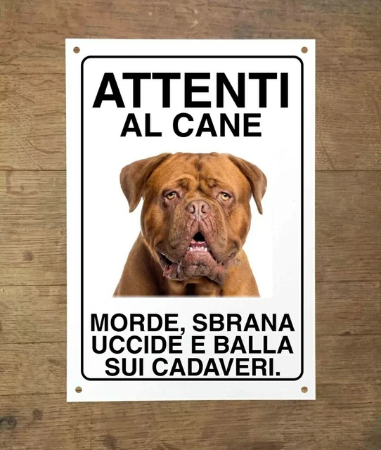 Targa In Metallo Per Cane CHOW CHOW | 20x30 Cm, Umoristica 'attenzione Al Cane Morde E Balla Sui Cadaveri', Personalizzabile