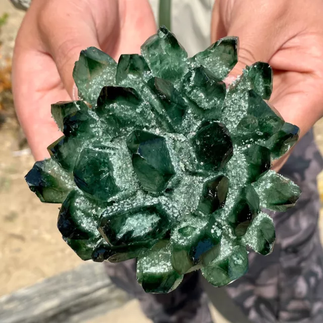 1.5LB New Find Green Phantom Quartz Crystal Cluster Mineral Specimen Healing