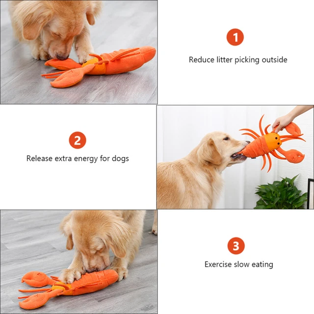 1pc Hund Plüsch Spielzeug Puppy Training Spielzeug 3