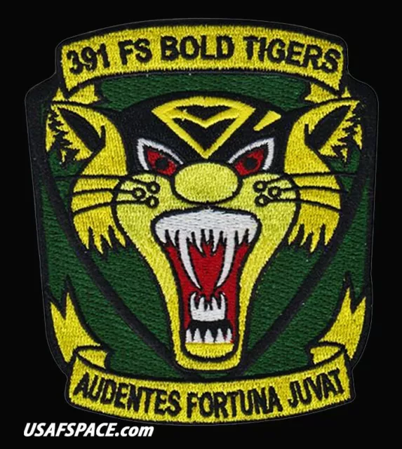 USAF 391 FIGHTER SQ -F-15-E- BOLD TIGERS -Mountain Home AFB, ID- ORIGINAL PATCH