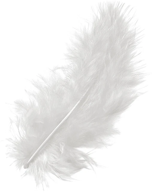 Plumas cuero marabufeo blanco 10 cm 15 ud. en bolsa,