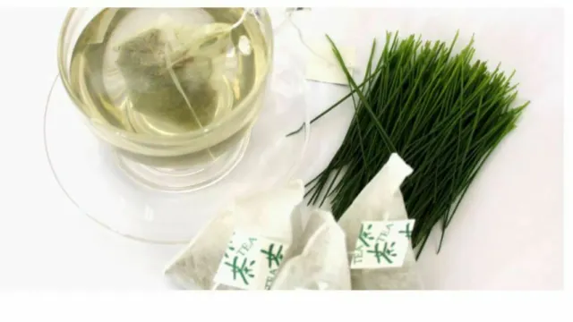 50T Dried Pine Needle Tea Korean Medicinal Herbal Anti-aging Healthy + Track 2