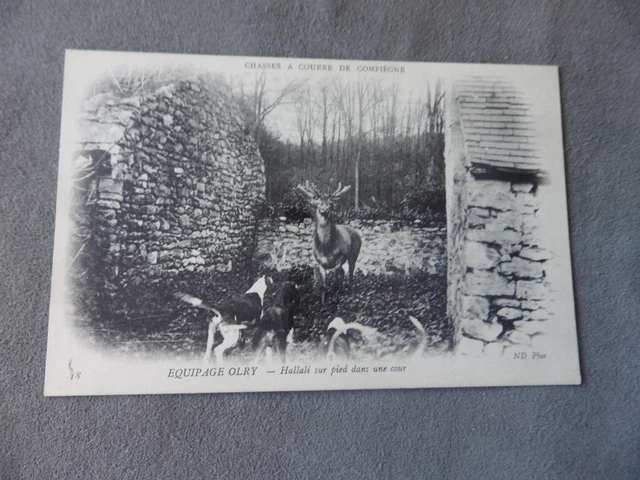 60 CHASSE A COURRE EN FORET DE COMPIEGNE EQUIPAGE DU MARQUIS