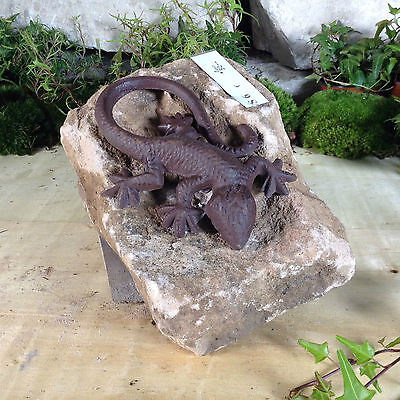 Jardin Terrasse ruisseau Pierre Naturelle grès Pelouse personnage Lézard Gecko Lézard 
