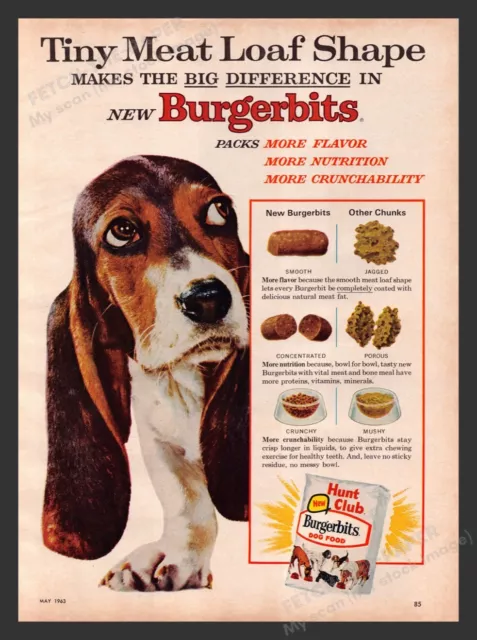 Hunt Club Burgerbits Dog Food Basset Hound 1960s Print Advertisement Ad 1963