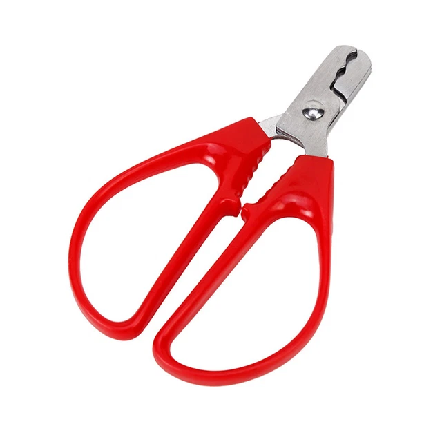 Pinze peeling apripistacchio apripistacchio conchiglia cracker dado in acciaio inox