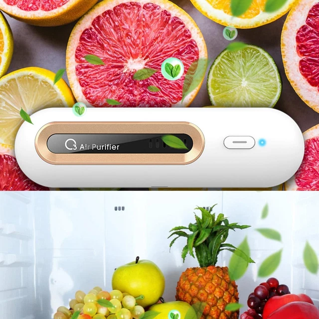 Ozonateur Portatif USB  Dissolvant D'odeur Pour L'armoire à La
