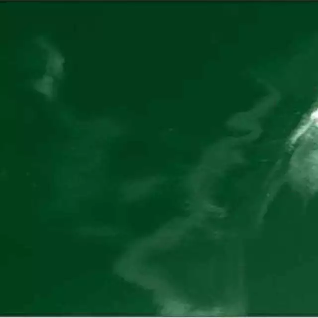 Black Stallion 6X6V1-GRN 6x6 ft Green Saf-Vu Welding Screen Only