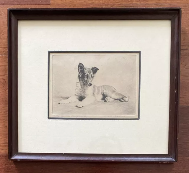 Morgan Dennis Signed Antique Etching, Collie Or German Shepard Dog