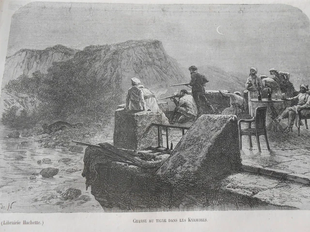 Gravure 1874 - Chasse au Tigre dans le Kyrmoures