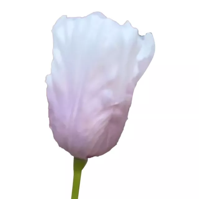 PACK DE LUXE de 1 tige fleurs de tulipe artificielle pour mariage fête ...
