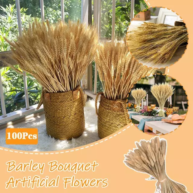 100Pcs Real Wheat Ear Flower Natural Dried Flowers G7 Bouquet Wedding O4D4