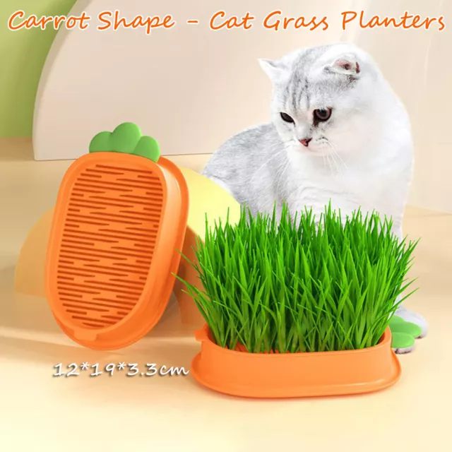 Cat Grass Planting Box Plant Growing Kit Hydroponic Cat Grass Soil-Free Planter