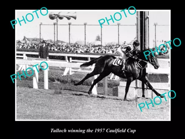 Old Historic Horse Racing Photo Of Tulloch Winning The 1957 Caulfield Cup