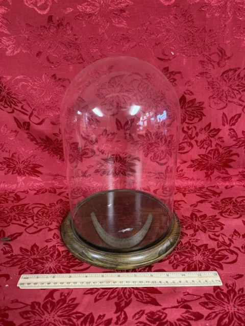 Clear Glass DISPLAY DOME & Wood Base