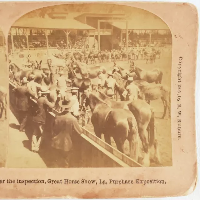 Louisiana Purchase Horse Show Stereoview c1905 St Louis Worlds Fair Expo C1560