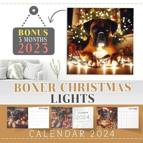 BOXER CHRISTMAS LIGHTS Calendar 2024 Jan 2024 to Dec 2024 Bonus 3