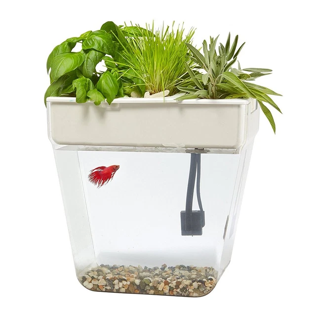 3 Gal. Self-Cleaning Fish Tank Aquarium 9