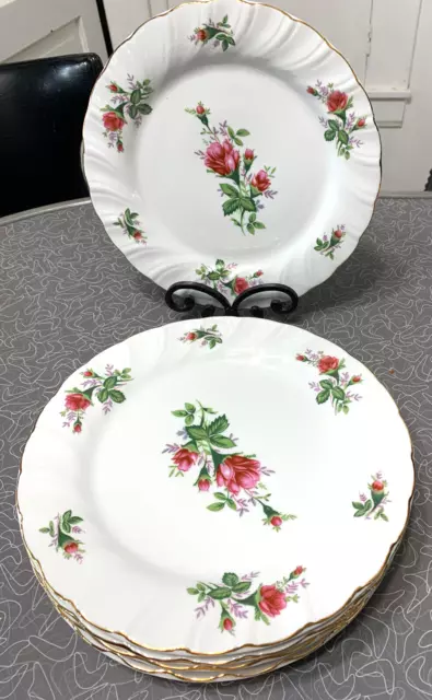 6 NEW Lynns Fine China Dinner Plates Victorian Rose Pattern Dinnerware