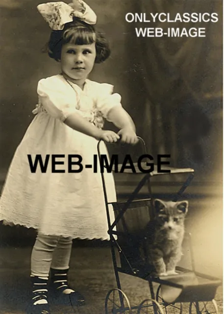 1908 Cute Little Girl Dress Bow Cat Kitten Riding Stroller 5X7 Photo Victorian