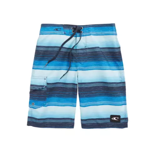 O'Neill Boys Santa Cruz Stripe Board Shorts Quick-Dry Blue Size 25 3189