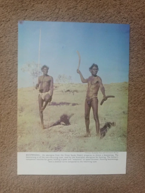 vintage 1960s book page  photo / print australian aborigine with boomerang