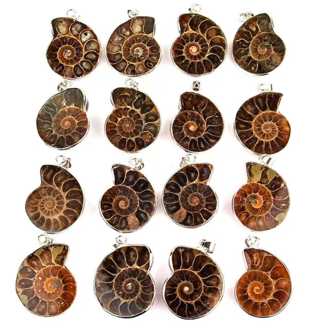 schöne Ammonit - Anhänger poliert Ø ca. 40 mm Fossilien Ammoniten Schnecke
