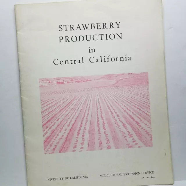 Strawberry Production In Central California - University Of California